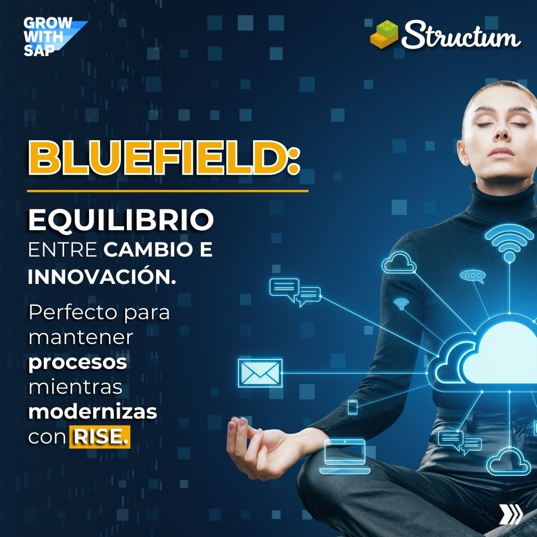 4.CARRU2-3-STRUCTUM-NOV