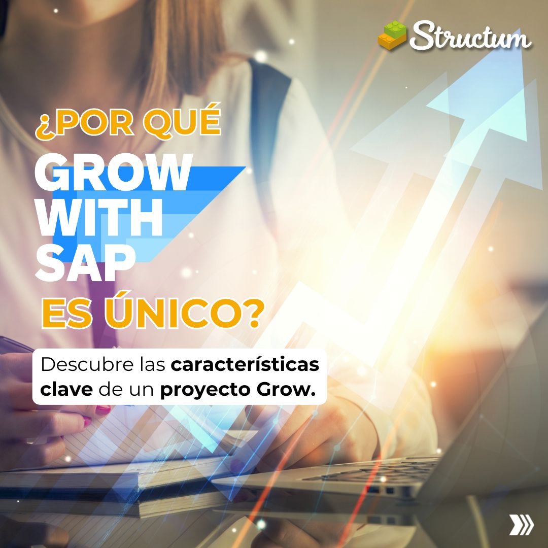 6.CARRU3-1-STRUCTUM-NOV